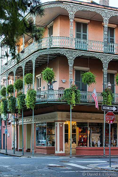 Balconies and Ferns, French Quarter, New Orleans (6775)