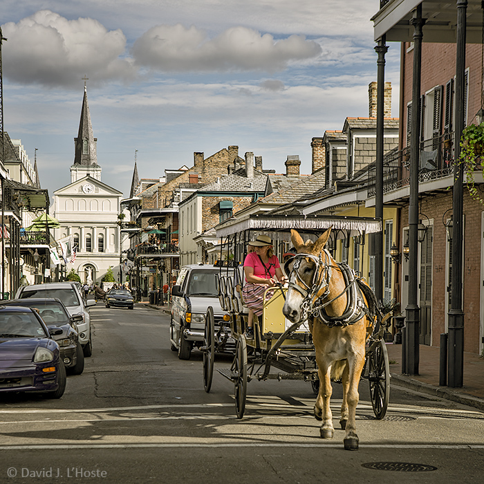 Carriage II, Orleans Street, French Quarter, New Orleans (6574)