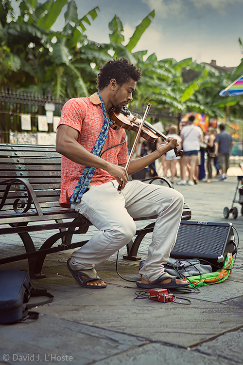 Fiddler in Jackson Square, New Orleans (6518)
