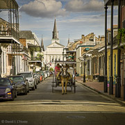 Carriage on Orleans Street, French Quarter, New Orleans