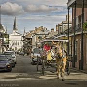 Carriage II, Orleans Street, French Quarter, New Orleans