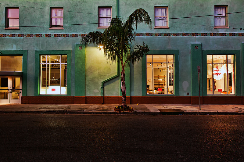 Sidewalk Palm - Ninth St. at Magazine St.