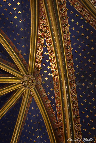 Photography By David J L Hoste Ceiling Of Sainte Chapelle